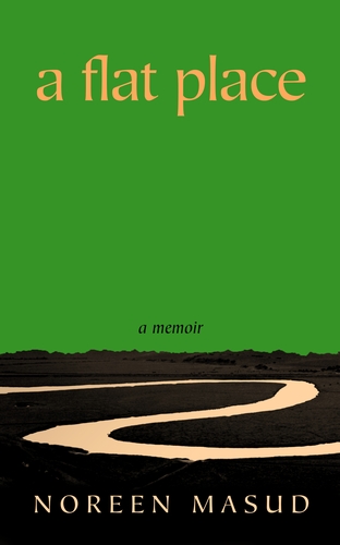 Book cover with a winding river on a green background